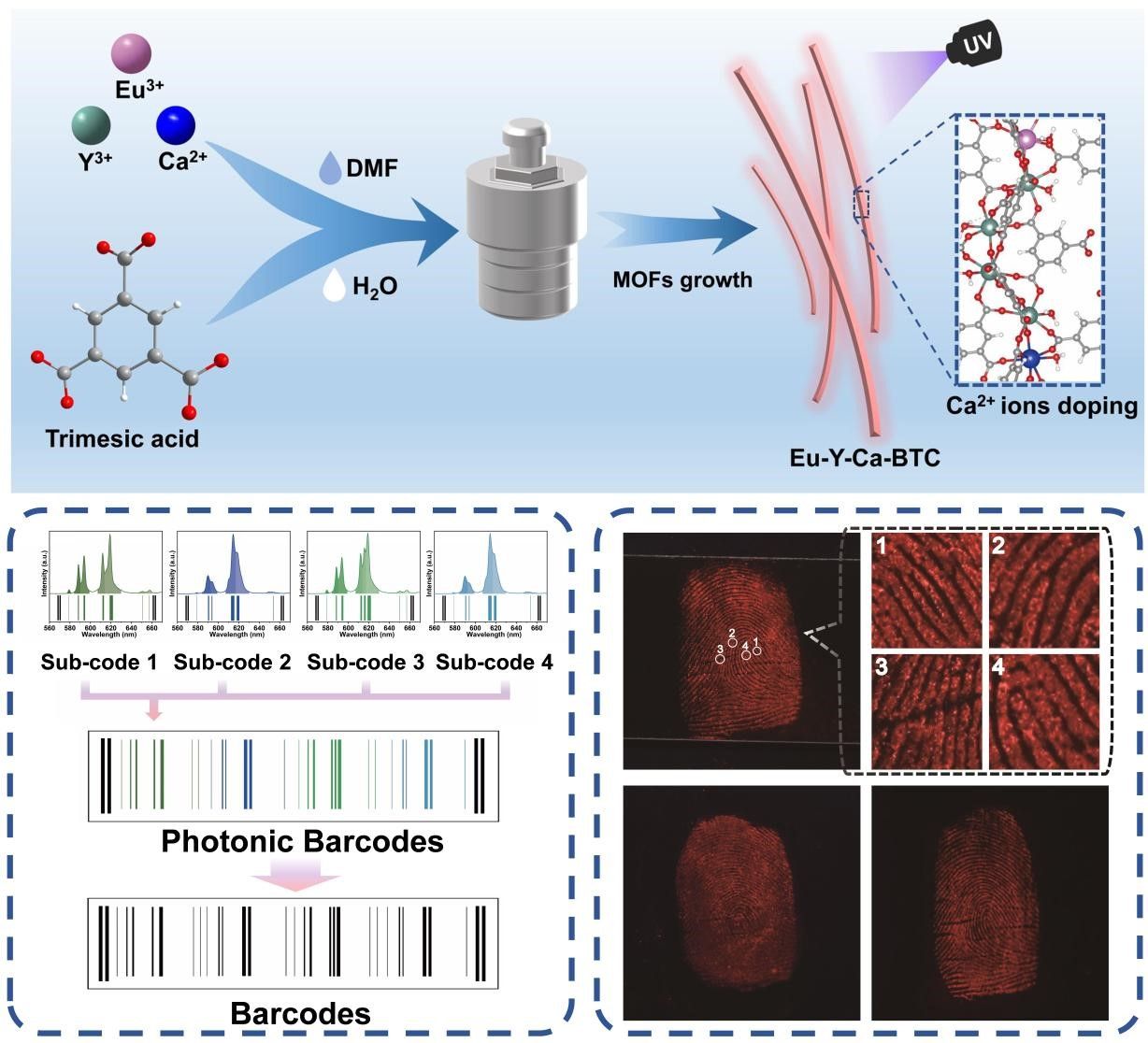 20240305-2.jpg 20240305-2.jpg